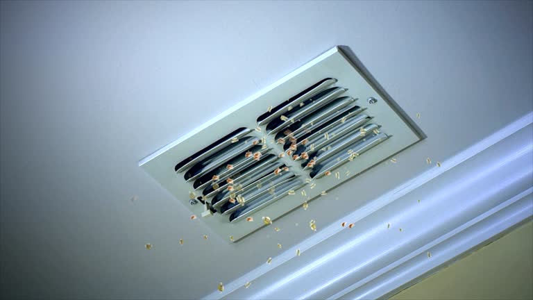 Best Emergency Air Duct Cleaning  in Waipahu, HI