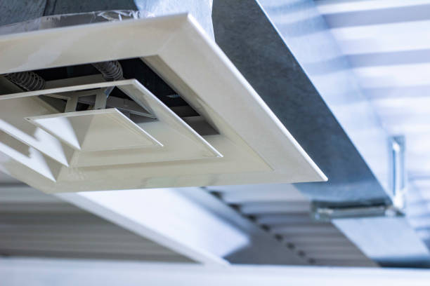 Best HVAC Duct Inspection Services  in Waipahu, HI