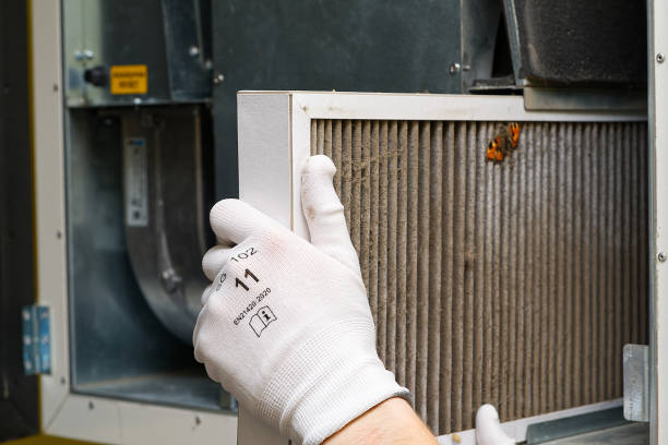 Best Professional Duct Cleaning Services  in Waipahu, HI
