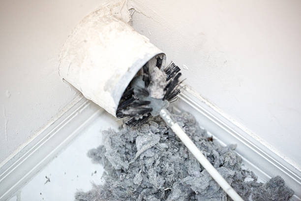 Best HVAC System Cleaning  in Waipahu, HI